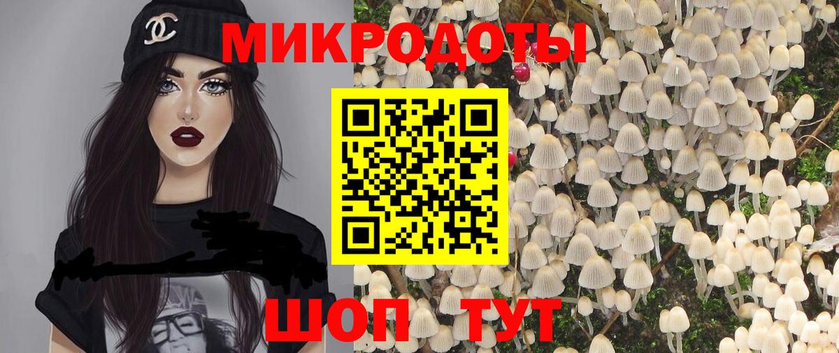 Галлюциногенные грибы прущие грибы  купить наркотик  Псилоцибиновые грибы Cubensis  Котовск  Вход с VPN 